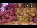 زبيب | نجلاء الشرشابي