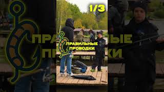 Ты ТОЧНО поймаешь рыбу, если… #рыбалка #рыба #какпойматьрыбу