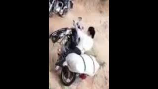 Video wanita tangguh d China bawa motor naek gunung