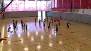 2016 Warrensburg High School Marching Tigers - Color Guard