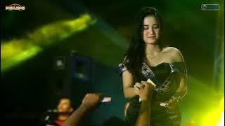 Download lagu MANUNGGAL 2024 (TANGIS ING DODO) LAILA AYU KDI-NEW PALLAPA