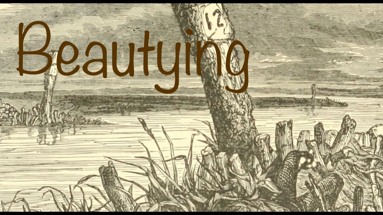 «Красота, которую мы можем познать», эссе Даниэля Дж. Шевока.