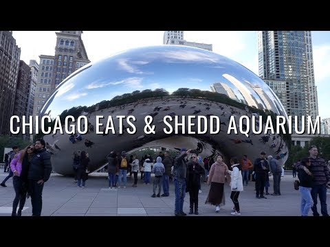chicago-eats-&-shedd-aquarium-|-october-13-16,-2019