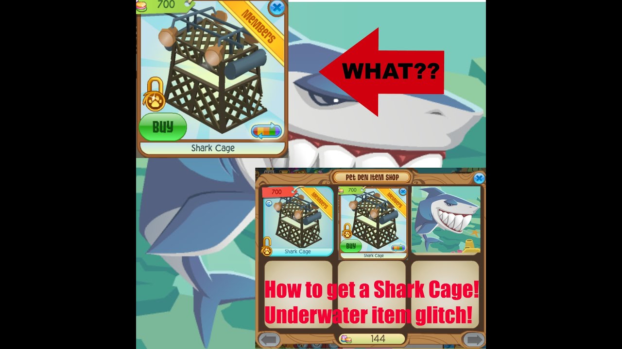How to get a shark cage!! ( Animal jam ) YouTube