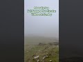 Misty Saddle Tor @DartmoorNationalPark #dartmoor #hiking #nature #devonwalks #walkinguk