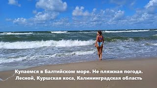 Купаемся в Балтийском море. Не пляжная погода. Лесной, Куршская коса, Калининград. обл., июль 2023.