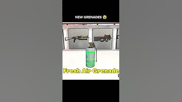New Grenades In Counter Strike? 😂 By Liechtenstein #counterstrike #csgo
