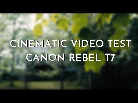 Canon Rebel T7 (EOS 2000D) Video Test
