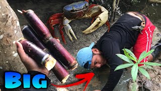 CÓMO pescar CANGREJO AZUL con ✅ nueva TÉCNICA de captura 🦀 en el manglar