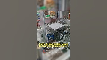 Cookie Automatic High speed Cartoning and Packing Line ③ Case Packing