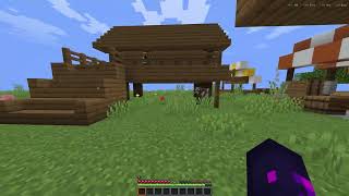 Minecraft 1 21 11   Multiplayer 3rd party Server 2026 05 09 16 22 12