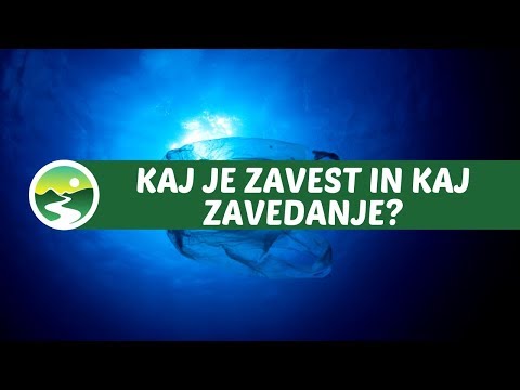 Video: Kaj Je Zavest