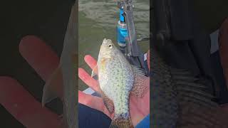 Got The New Boat Broke In