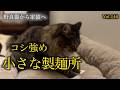 対照的すぎる兄妹猫のフミフミがこちら The contrast between the older and younger cats