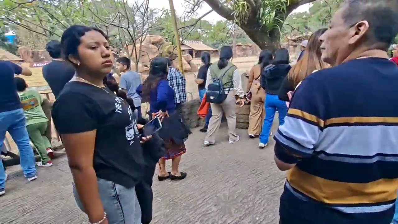 Me perdí en el zoológico de Guatemala 🇬🇹🐾🦁🦒