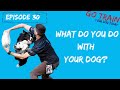 Go Train Your Dog Today E30 Go Train Your Dog Today E30