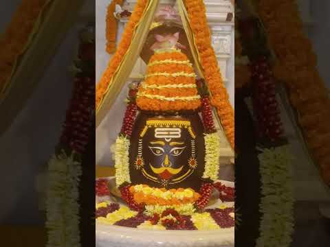 har har Mahadev 🙏🌷🙏 #भक्ति #love #youtubeshorts #shivmandirakhadakarala #kedarnath #viralvideo