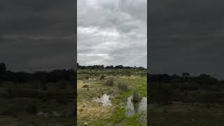 property with 16 hectares next to the Ponsul river for sale
