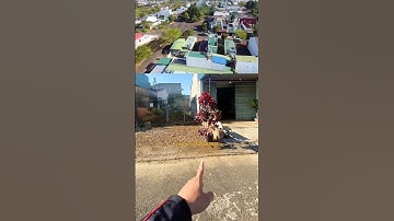 Lô này trước mặt là công viên- Lộc Phát- Bảo Lộc/ DT: 5x20 full thổ cư- liên hệ: 0349663521