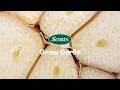 Learn How to Grow Garlic in 7 Simple Steps