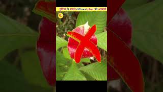 duniya ke sabse ajeeb plant !! #facts #factshorts