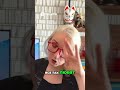 Традиционная медицина Как понять, какой орган поврежден