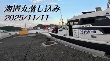 宇和海落し込み