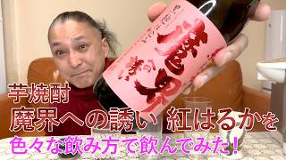 芋焼酎】光武酒造場の「魔界への誘い 紅はるか」を飲んでみた