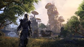 The Elder Scrolls Online | Aldmeri Dominion • All Exploration Music (including Summerset)
