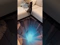 Cat Panics Hard On Three Dimensional Floor#viral #shortvideo #funny