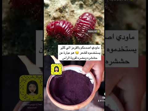 قرمز تلوين الشعر