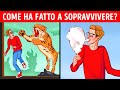 Maratona di Oltre 90 Enigmi per Rimettere in Moto la Tua Mente