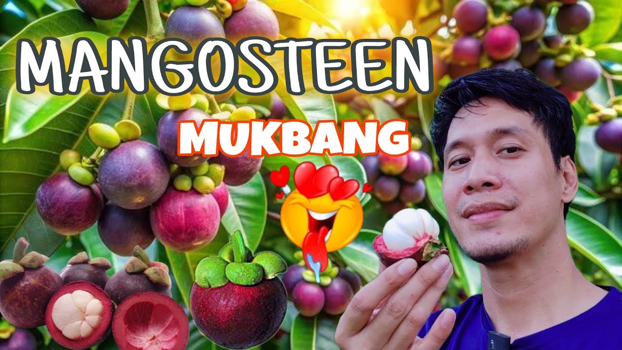 MANGOSTEEN MUKBANG PHILIPPINES | LOY IMAM