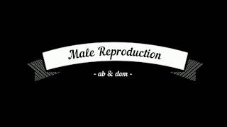 MALE REPRODUCTION // a song by ab & dom