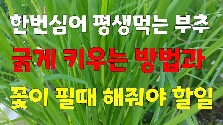 부추를 굵게 키우는 방법과.                     👉 꽃이필때  해줘야 할일