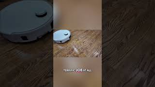 Robot Vacuums Secret Weapon: Edge Cleaning & Obstacle Masters!