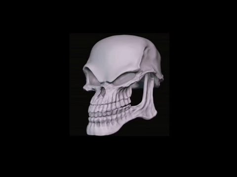 Top 5 Skeleton
