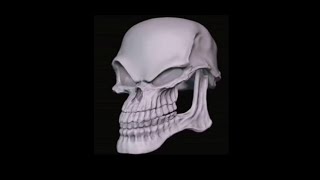 Top 5 Skeleton
