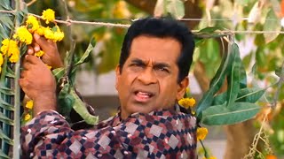 लेडीज़ का स्वागत करेंगे Brahmanandam - Balakrishna SOUTH BLOCKBUSTER NEW HINDI DUBBED MOVIE - Ali