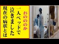 おのののか、今現在が衝撃的すぎる!