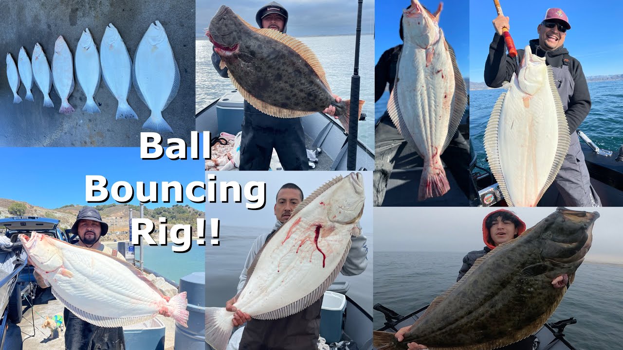How to Ball Bouncing Rig for Huge Halibut!! 