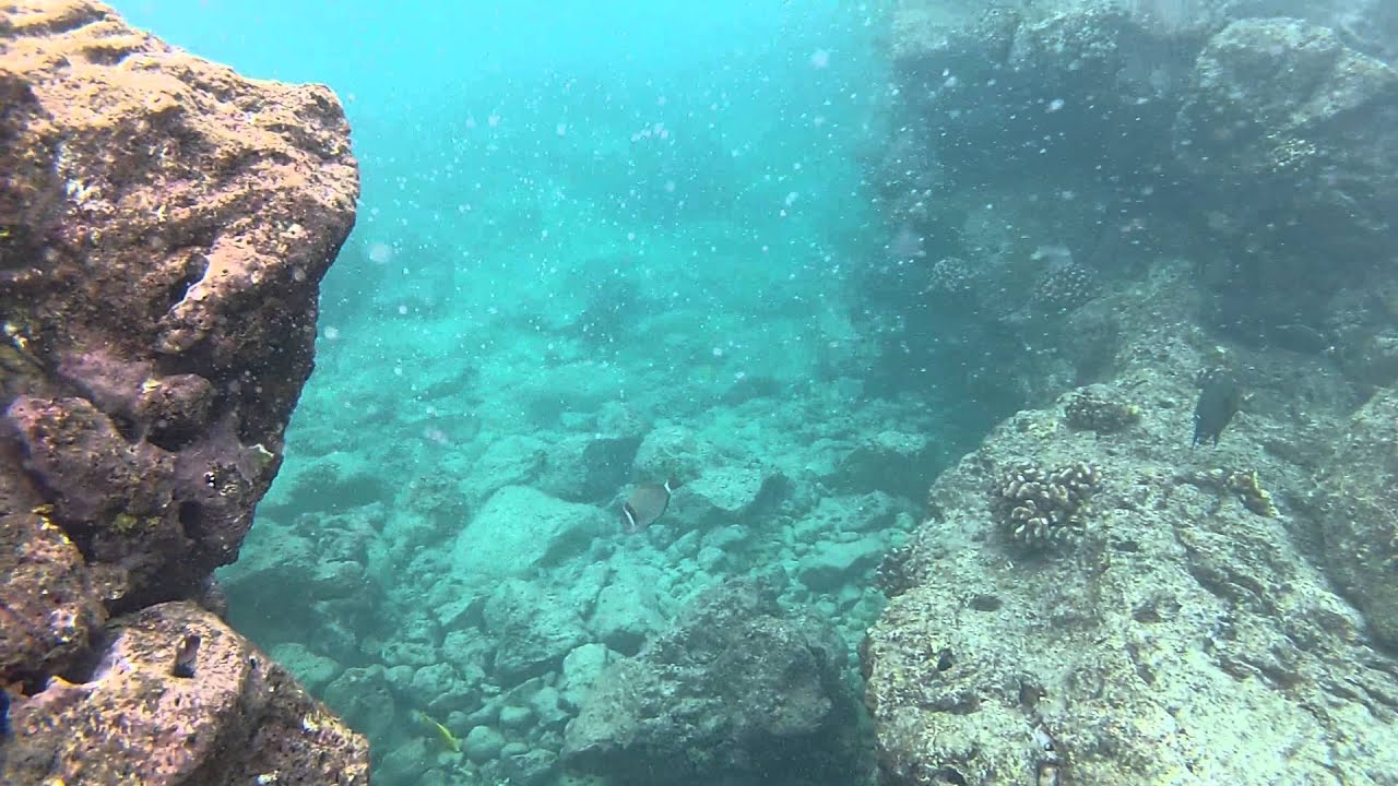 The Dumps Maui. Going into the coral garden PT 1 - YouTube