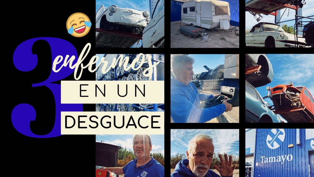 Encuentro un montón de coches clásicos en este desguace de la garriga #desguace