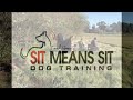 'Vegas' AKC Jr. Land Test - Pass