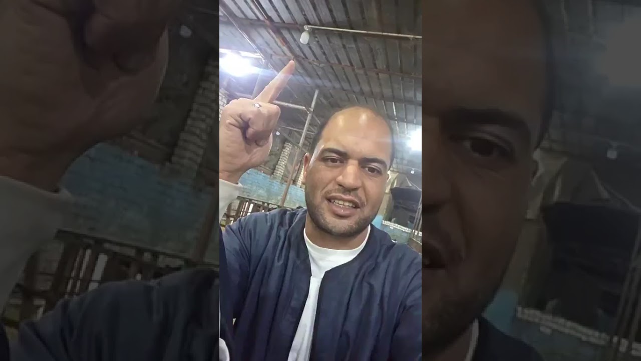 هنا تبدا اسعار في النتايات الابقار من 15000 جنيه وطالع كمل الفيديو للاخر في كل التفاصيل 01091804998