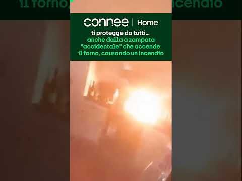 Connee Home protegge