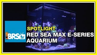 How to set up an all in one (AIO) reef tank  Rea Sea Max ESeries | BRStv Spotlight