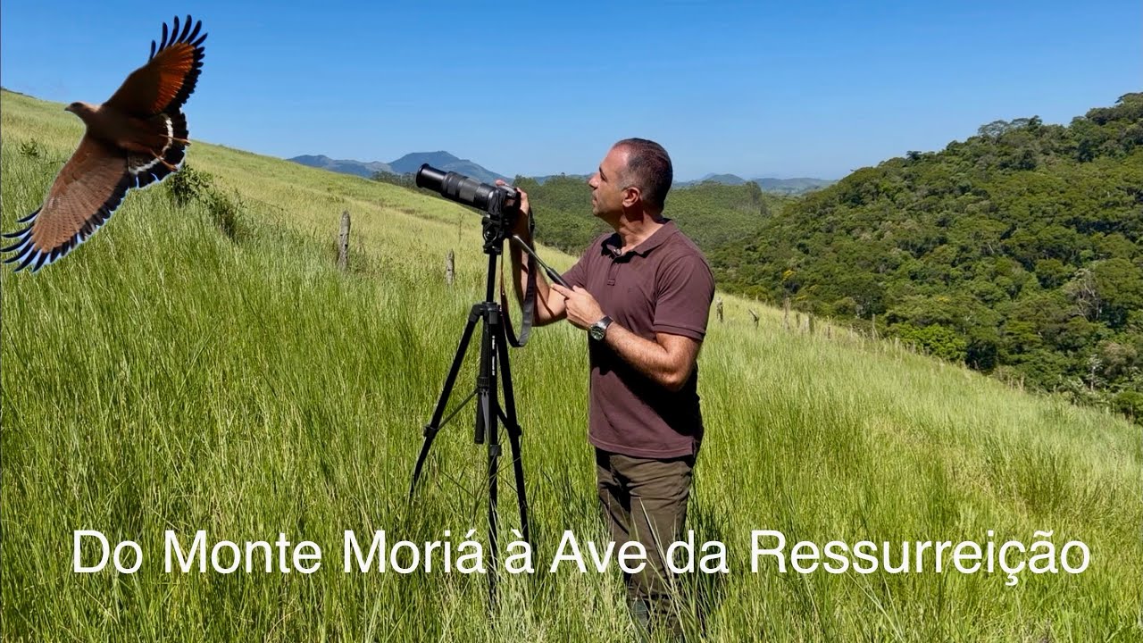 Do Monte Moriá à Ave da Ressurreição