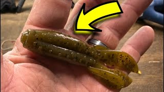 Why The Z Hog Is Deadly On Summer Bass…