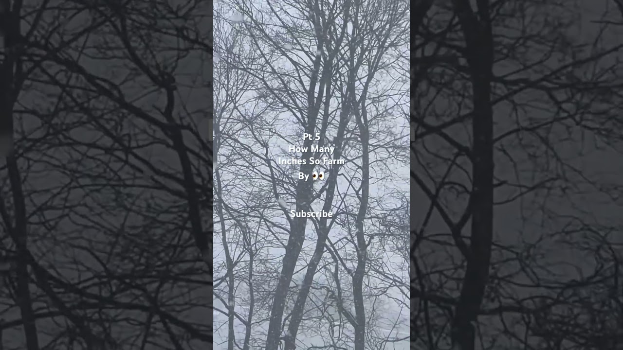 So Far #viral #snow #winter #fall  #rooftop #inches ##trending #fyp